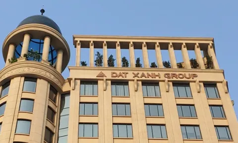 Năm 2023 buồn của Đất Xanh: Lãi quý IV thấp nhất lịch sử, lãi cả năm thấp nhất 10 năm