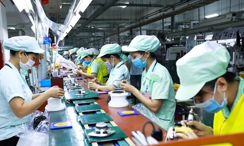 Những chính sách mới có hiệu lực từ tháng 2/2022