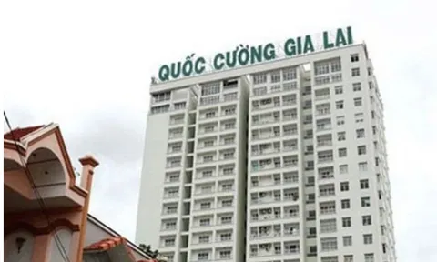 Năm 2023 'dưới đáy' của QCG: Doanh thu thấp nhất 8 năm, lợi nhuận thấp nhất 10 năm