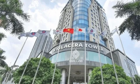 Viglacera Tiên Sơn (VIT) phát hành gần 19 triệu cổ phiếu hoán đổi, đóng cửa giao dịch mã VIH và TLT