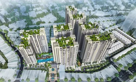 Hà Đô lãi ròng hơn 1.000 tỷ đồng trong năm 2021