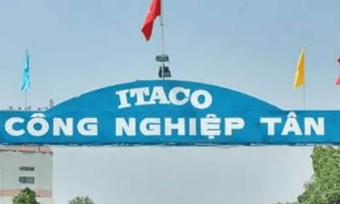 Doanh thu Tân Tạo của bà Đặng Thị Hoàng Yến âm hơn 2.000 tỷ đồng
