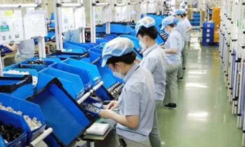 Đề xuất bãi bỏ 12 Thông tư trong lĩnh vực thuế