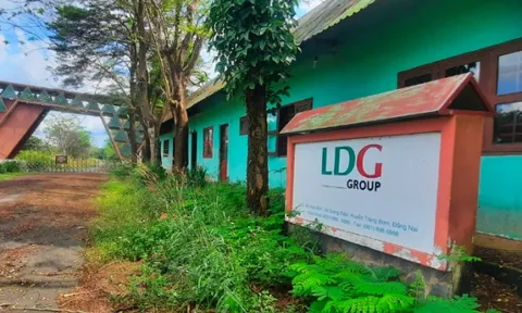 Đầu tư LDG tiếp tục lỗ