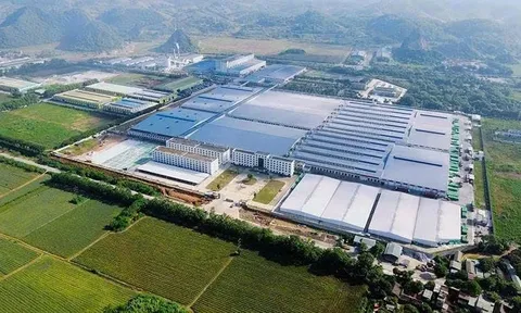 Kiểm tra dự án BĐS công nghiệp của Tân Phục Hưng Group ở Thanh Hóa