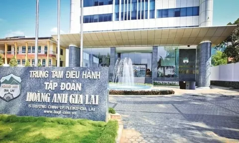 Cổ phiếu POM và HNG có khả năng bị hủy niêm yết