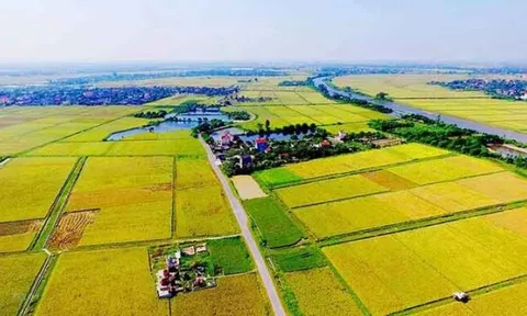 Bộ Tài chính đề xuất miễn, giảm tiền thuê đất nông nghiệp