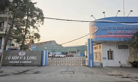Đồ hộp Hạ Long thua lỗ quý IV/2025, tồn kho phình to giữa lùm xùm thịt lợn nhiễm bệnh