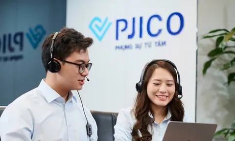 Nợ phải trả của Bảo hiểm Petrolimex (PJICO) chiếm hơn 78% vốn