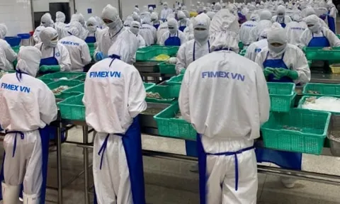 Doanh thu Thực phẩm Sao Ta giảm mạnh trong tháng 1/2026