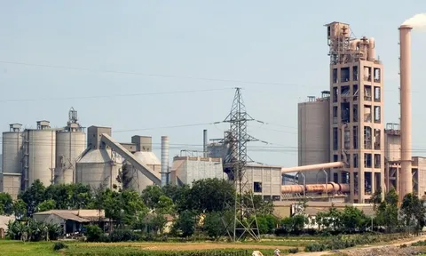 BĐS khó khăn, DN sắt thép và xi măng đồng loạt báo lỗ trăm tỷ