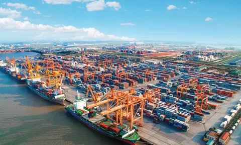 Chốt sổ 2025, Cảng Hải Phòng không đạt kế hoạch cả doanh thu và lợi nhuận