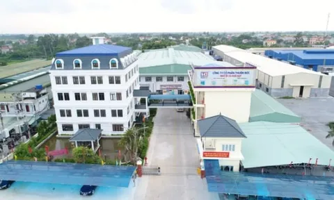 Lợi nhuận sau thuế Thuận Đức đạt xấp xỉ 99 tỷ đồng