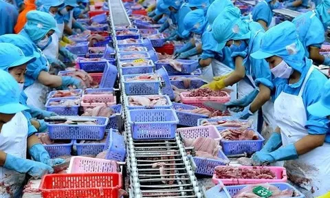 Mảng màu xám trong bức tranh kinh doanh thủy sản quý IV/2022