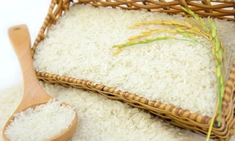 Giá gạo xuất khẩu Việt Nam tăng 15 USD/tấn