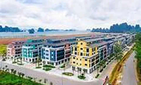 CEO Group: Thoát lỗ 5 quý liên tiếp nhờ doanh thu tài chính, dòng tiền kinh doanh âm nặng
