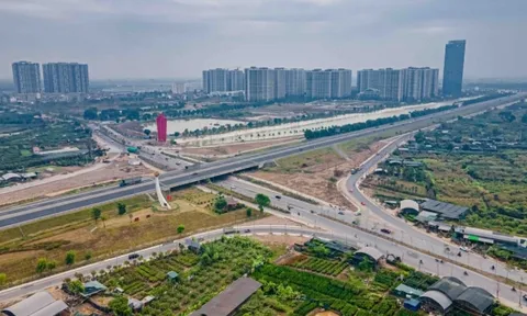 Phân khúc bất động sản nào sẽ thắng thế năm nay?