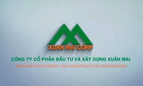 Xuân Mai Corp nợ 3.343 tỷ, chủ nợ lớn nhất là BIDV chiếm gần nửa