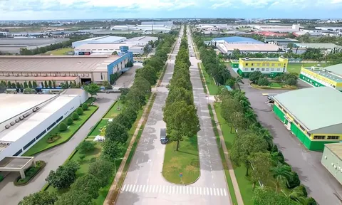 Liên tục mở rộng đầu tư tại Việt Nam, 'ông lớn' BĐS công nghiệp Thái Lan toan tính gì?