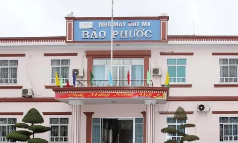 Bột mỳ Vinafood bị phạt vì nhà máy sản xuất không có giấy phép môi trường