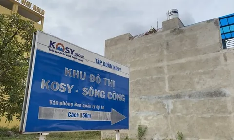 Kosy: Dòng tiền kinh doanh âm năm thứ 6 liên tiếp