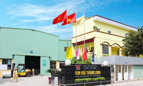 Kim khí Thăng Long: Lợi nhuận giảm, vi phạm thuế và chậm đóng BHXH