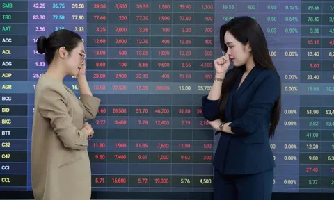 Bốn năm 'nằm gai nếm mật' của cổ đông doanh nghiệp BĐS dân cư