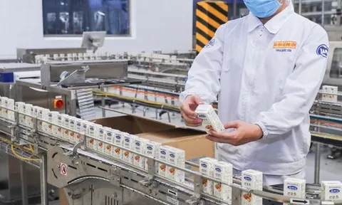 Doanh nghiệp ngành sữa hụt hơi, chịu áp lực lớn từ giá nguyên liệu