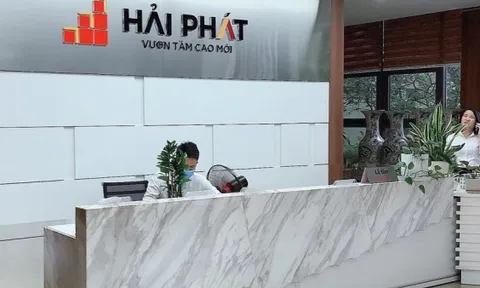 Đầu tư Hải Phát bị truy thu và xử phạt về thuế hơn 5 tỷ đồng