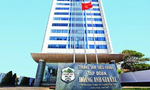 Huỷ niêm yết HAG “không đem lại lơi ích gì cho nhà đầu tư và sự minh bạch của thị trường”
