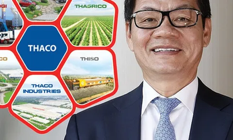 Hệ sinh thái khổng lồ của tỷ phú Trần Bá Dương sẽ vận hành thế nào năm 2023?