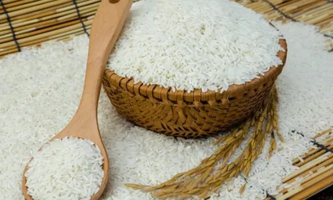 Giá gạo bán lẻ giữ mức cao dù xuất khẩu giảm sâu
