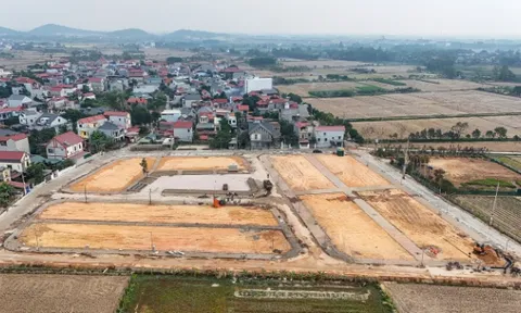 Sóc Sơn, Hà Nội: Đấu giá lại khu đất từng được trả giá 30 tỷ đồng/m2