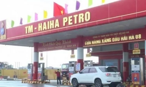 Có hàng nghìn tỷ để cho vay, đầu tư nhưng Công ty Vận tải thủy bộ Hải Hà vẫn nợ thuế khủng