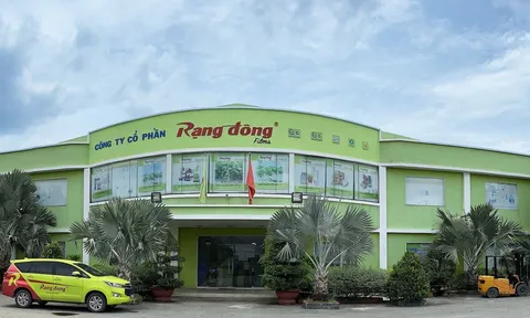Viễn cảnh mờ mịt của Rạng Đông Holding