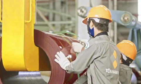 Nhóm 'người lạ' chi hơn 200 tỷ mua 20 triệu cổ phiếu 'ế' của Thép Nam Kim