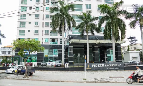 Cổ phiếu lập đỉnh, lãnh đạo Fideco thoái sạch vốn