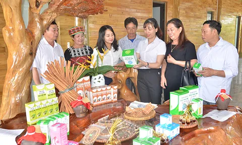 Văn Yên – Yên Bái: Tiềm năng, bứt phá phát triển khu vực Tây Bắc