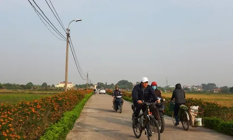 Hà Nội đấu giá hơn 10 ha đất làm cụm công trình thương mại dịch vụ