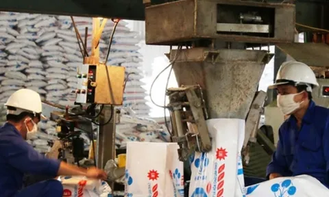 Hóa chất Dầu khí Tây Nam Bộ bị truy thu thuế 750 triệu