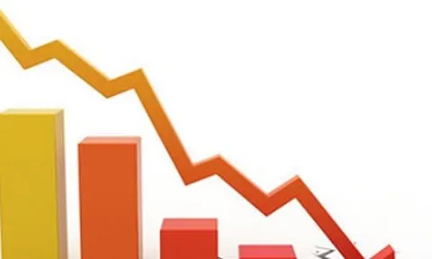 Tập đoàn Nagakawa: Lãi ròng sụt giảm 33%, đạt vỏn vẹn hơn 4 tỷ đồng