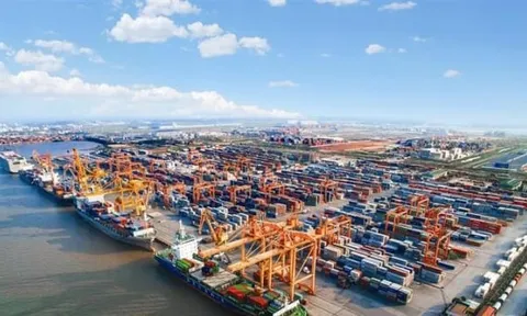 Gánh nặng chi phí lãi vay khiến lợi nhuận Viconship về mức thấp nhất từ 2009 đến nay