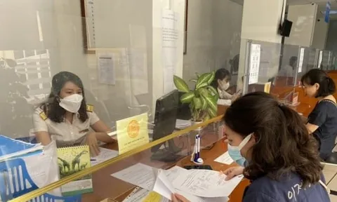 Ngành thuế rà soát trường hợp bỏ địa chỉ kinh doanh để áp dụng cưỡng chế, tạm hoãn xuất cảnh