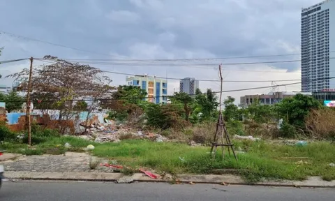 Đà Nẵng đấu giá 1 ha 'đất vàng', khởi điểm 137 triệu đồng/m2