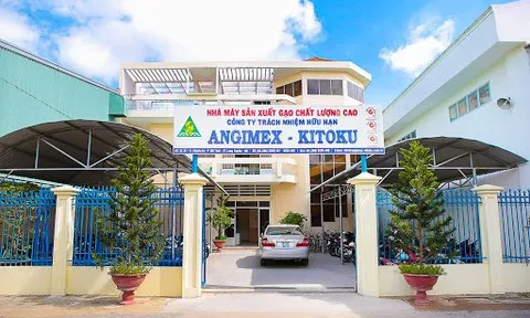 Chưa đầy 1 năm thành lập, công ty con của Angimex bất ngờ bị giải thể
