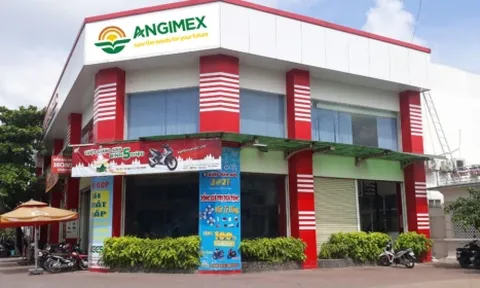 AGM giải thể một công ty con và bán 100% cổ phần một công ty con
