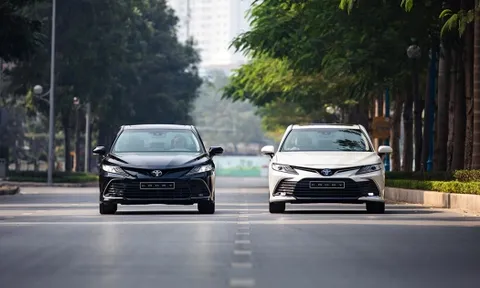 Gần 2.800 ô tô Lexus bị triệu hồi tại Việt Nam, nguyên nhân do đâu?
