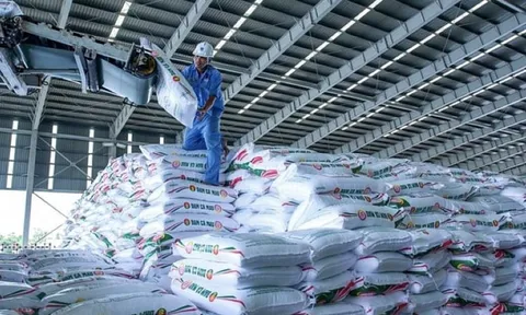 Ngược chiều trong 2025: Phân bón tăng tốc, hóa chất nặng gánh chi phí