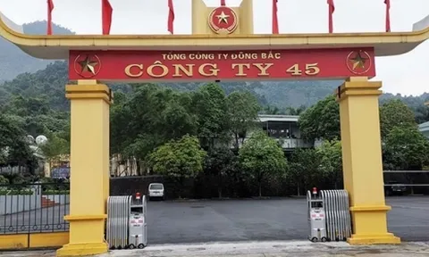 Công ty 45 bị phạt 860 triệu đồng vì loạt sai phạm về môi trường