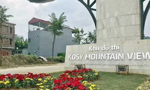 KOSY chậm đóng 1,4 tỷ đồng tiền bảo hiểm xã hội